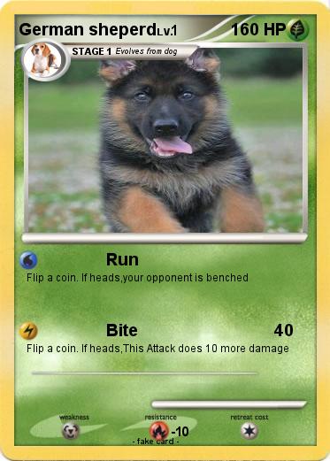 Pokemon German sheperd