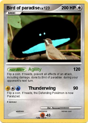 Pokemon Bird of paradise