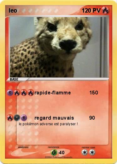Pokemon leo                 