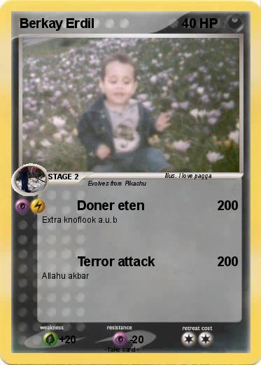 Pokemon Berkay Erdil