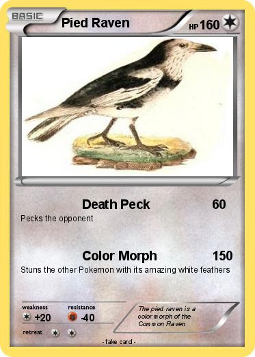 Pokemon Pied Raven