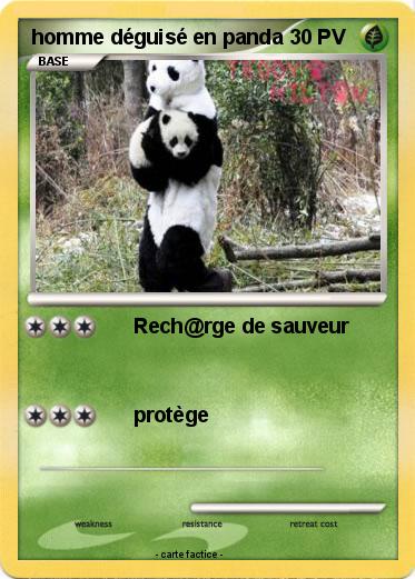 Pokemon homme déguisé en panda