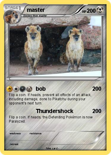 Pokemon master