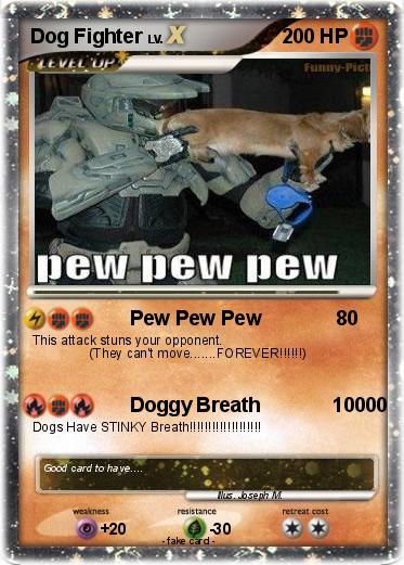 Pokemon Dog Fighter