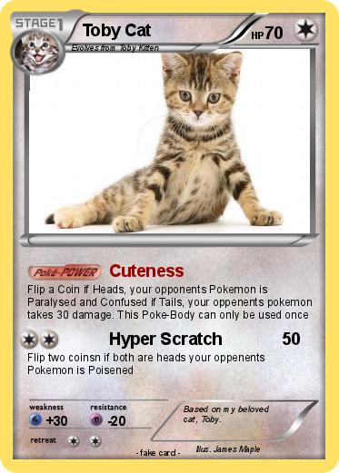 Pokemon Toby Cat
