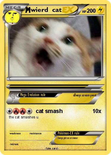 Pokemon wierd  cat
