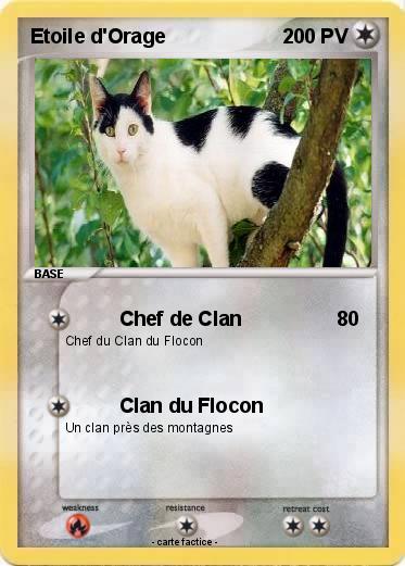 Pokemon Etoile d'Orage