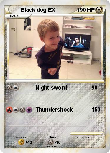 Pokemon Black dog EX