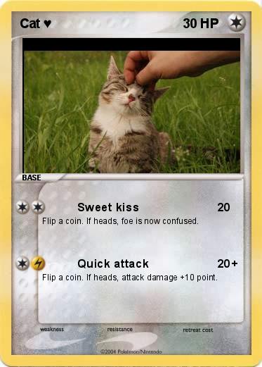 Pokemon Cat ♥