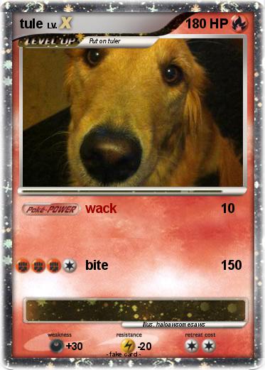 Pokemon tule