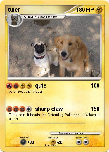 Pokemon tuler