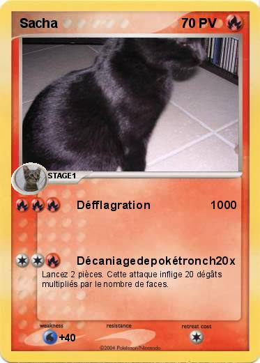 Pokemon Sacha