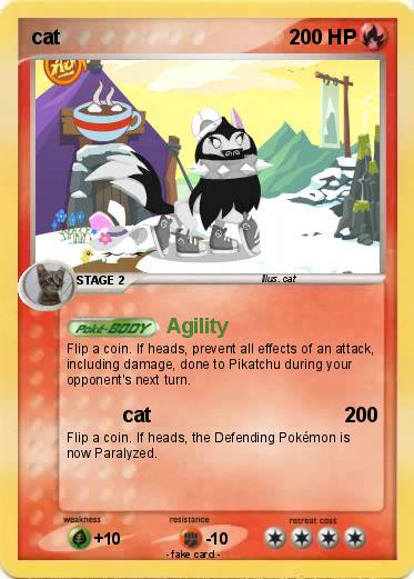 Pokemon cat