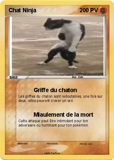 Pokemon Chat Ninja