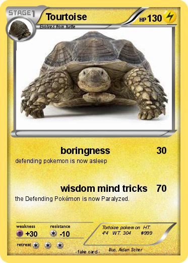 Pokemon Tourtoise