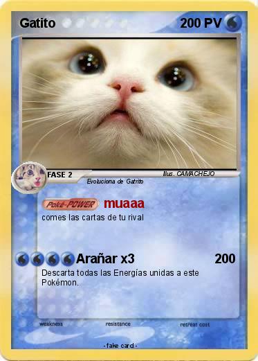 Pokemon Gatito