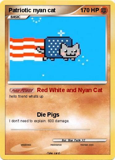 Pokemon Patriotic nyan cat