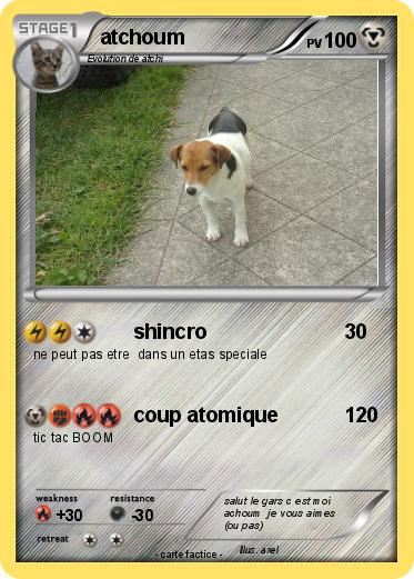 Pokemon atchoum