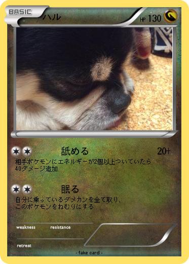 Pokemon ハル