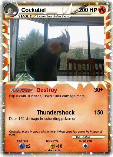 Pokemon Cockatiel