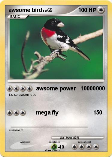 Pokemon awsome bird