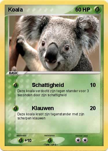 Pokemon Koala