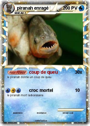 Pokemon piranah enragé