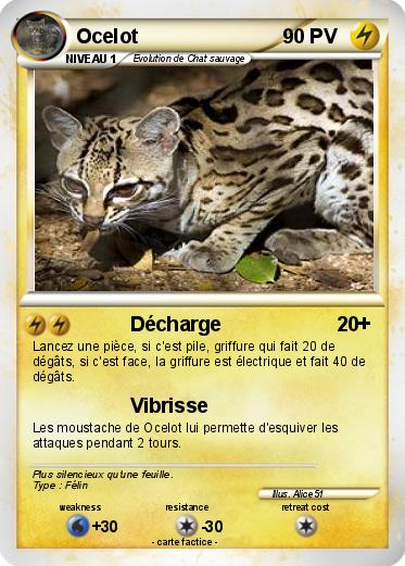 Pokemon Ocelot