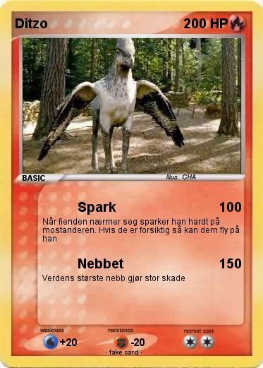 Pokemon Ditzo