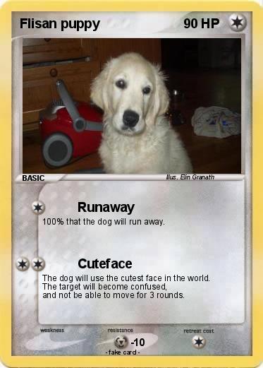 Pokemon Flisan puppy