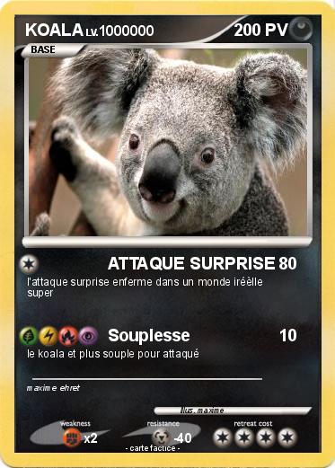 Pokemon KOALA