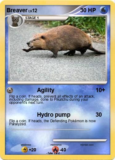 Pokemon Breaver