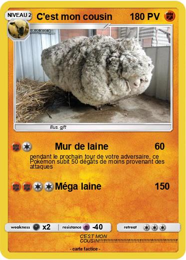 Pokemon C'est mon cousin