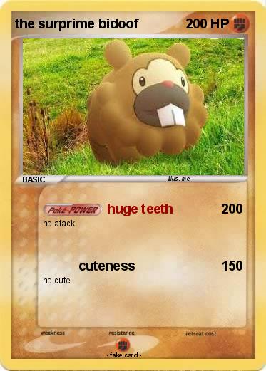 Pokemon the surprime bidoof