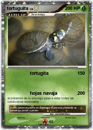 Pokemon tortuguita