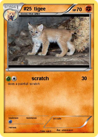 Pokemon #25  tigee