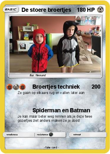 Pokemon De stoere broertjes