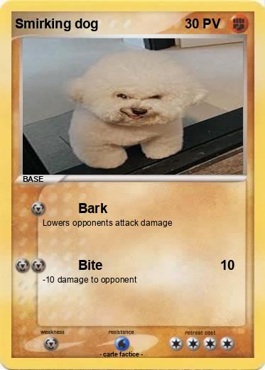 Pokemon Smirking dog
