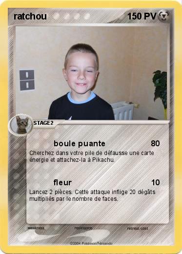 Pokemon ratchou