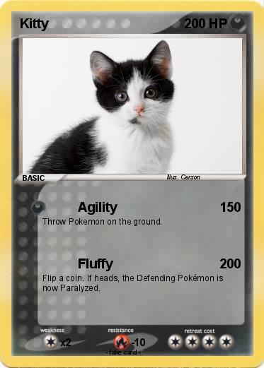 Pokemon Kitty