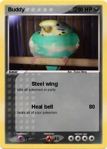 Pokemon Buddy