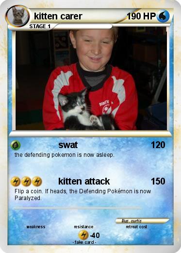 Pokemon kitten carer