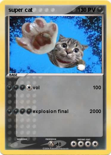 Pokemon super cat