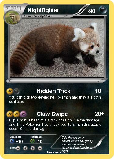 Pokemon Nightfighter