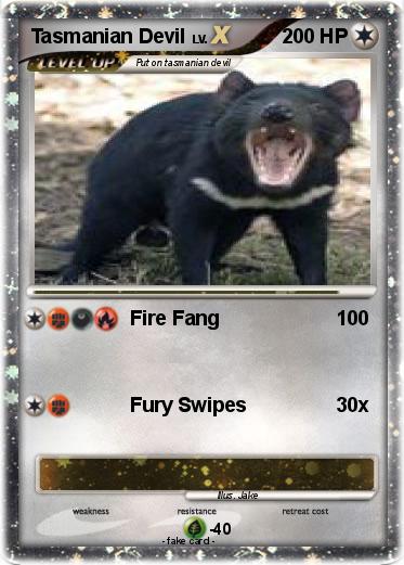 Pokemon Tasmanian Devil