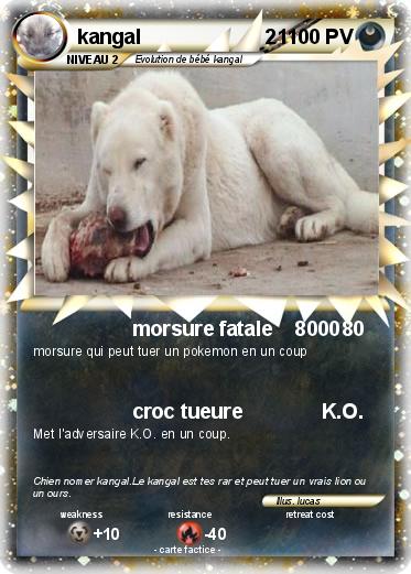 Pokemon kangal                      21