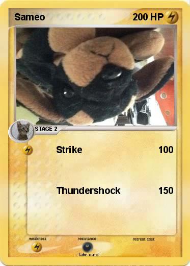 Pokemon Sameo