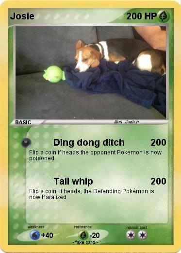 Pokemon Josie