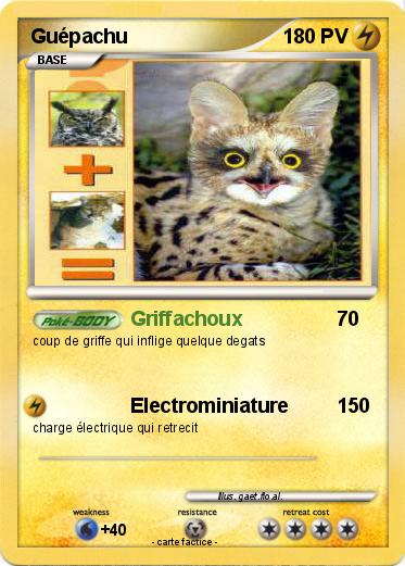 Pokemon Guépachu