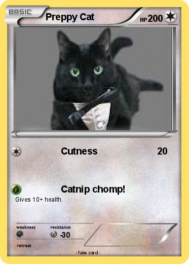 Pokemon Preppy Cat